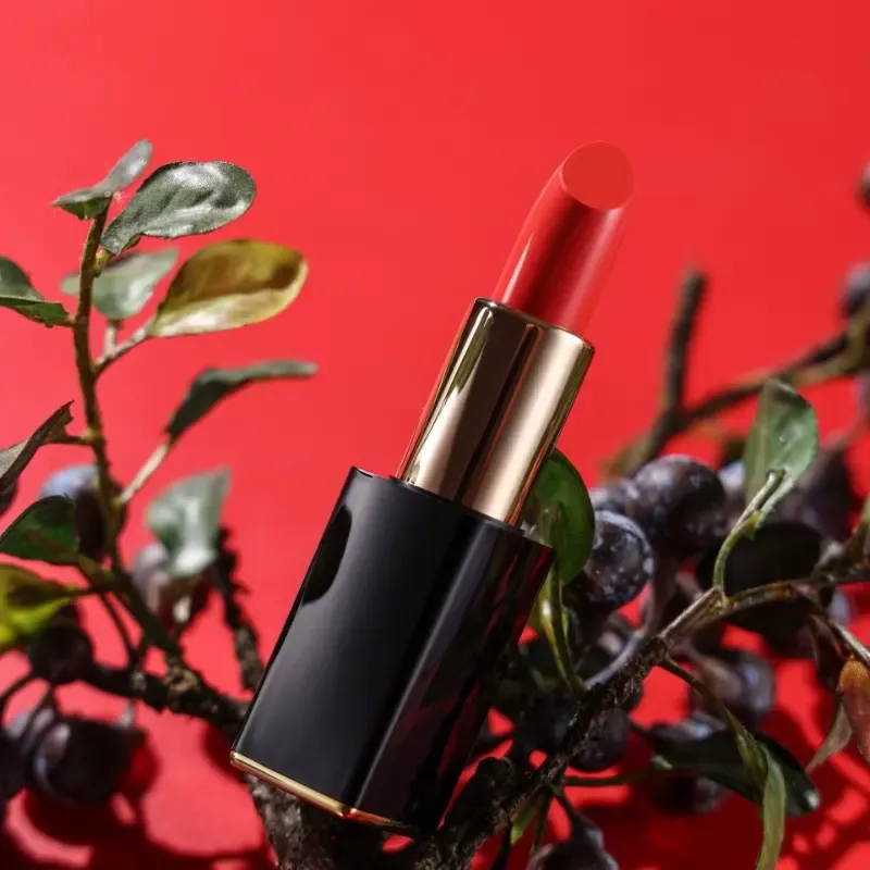 24-shade-lipstick-set