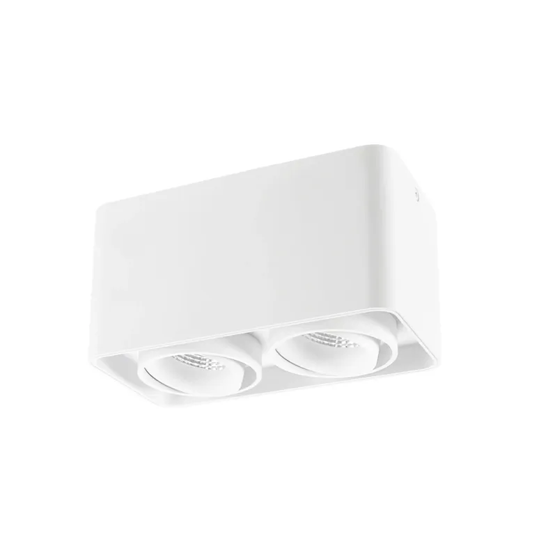 Square Surface Mounted Downlight 2X12W