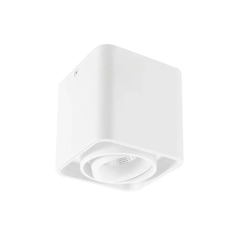 Surface Mounted Downlight for Hotel