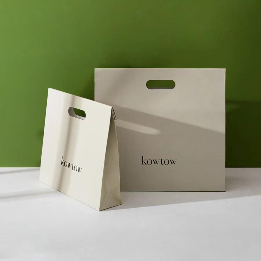 Luxury clothing paper bag with ribbon handles