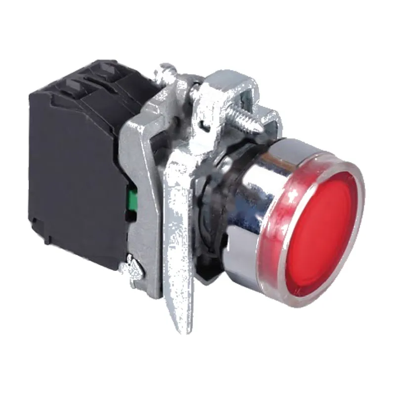 22 mm illuminated push button switch with LED lamp, 24 V 110 V 220 V, 1 NO plus 1 NC contact