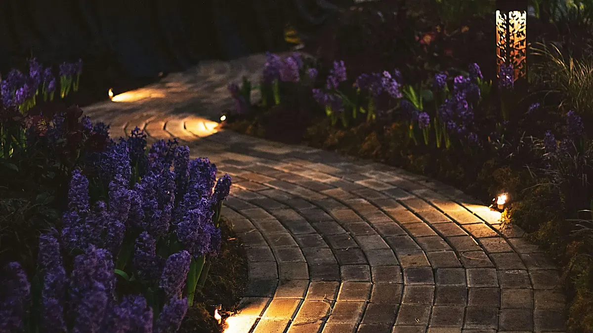 artlitegroup-garden-path-lighting-photo