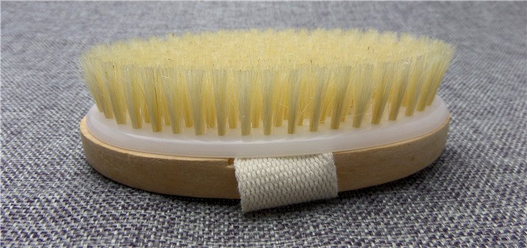 Dry body brush side view showing bristle depth
