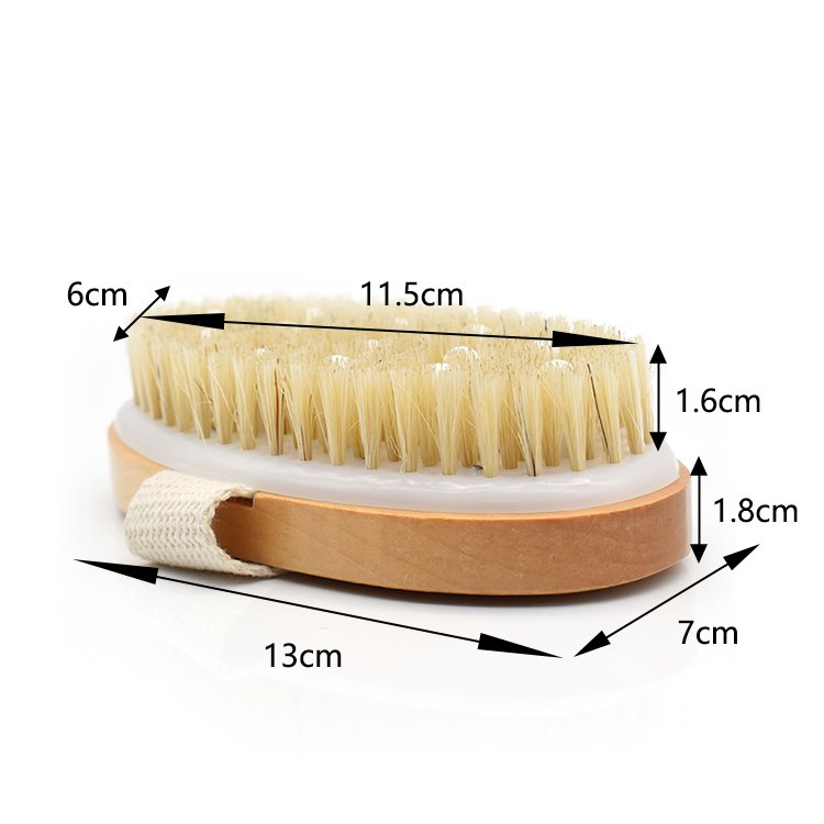 Size drawing: 13 x 7 cm oval, 1.8 cm wooden base, 1.6 cm bristles