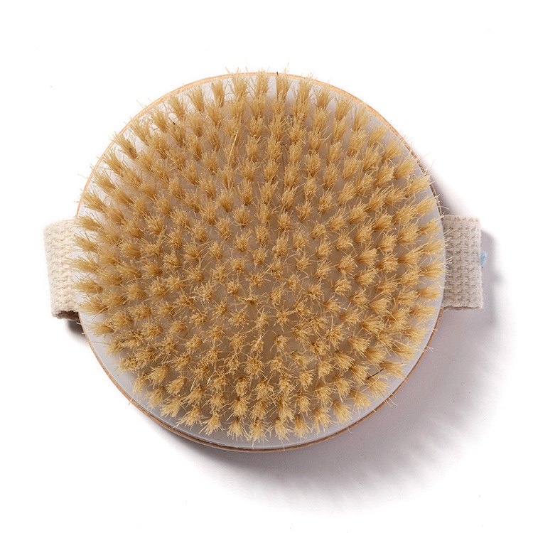 Dense natural boar bristle face of the shower brush