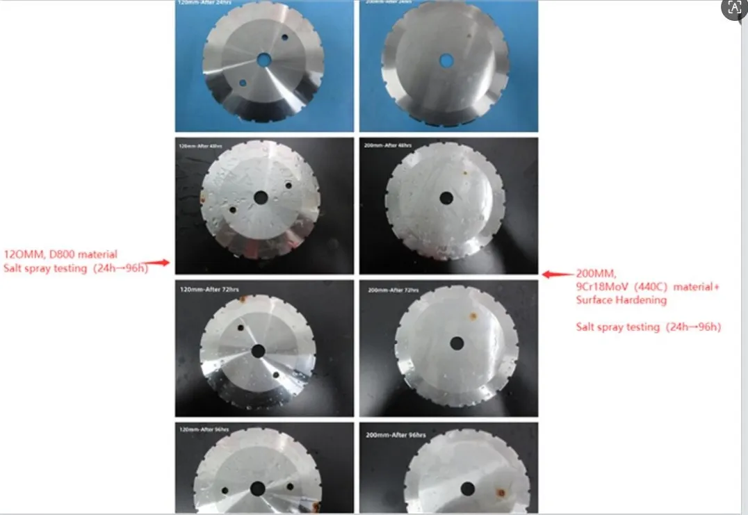 salt spray testing report