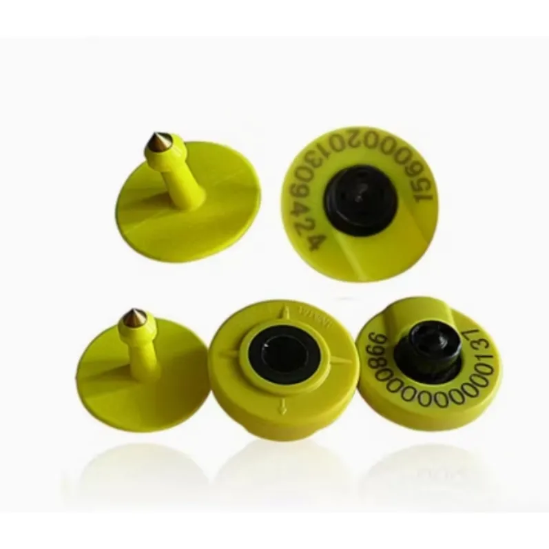 ear tag 2