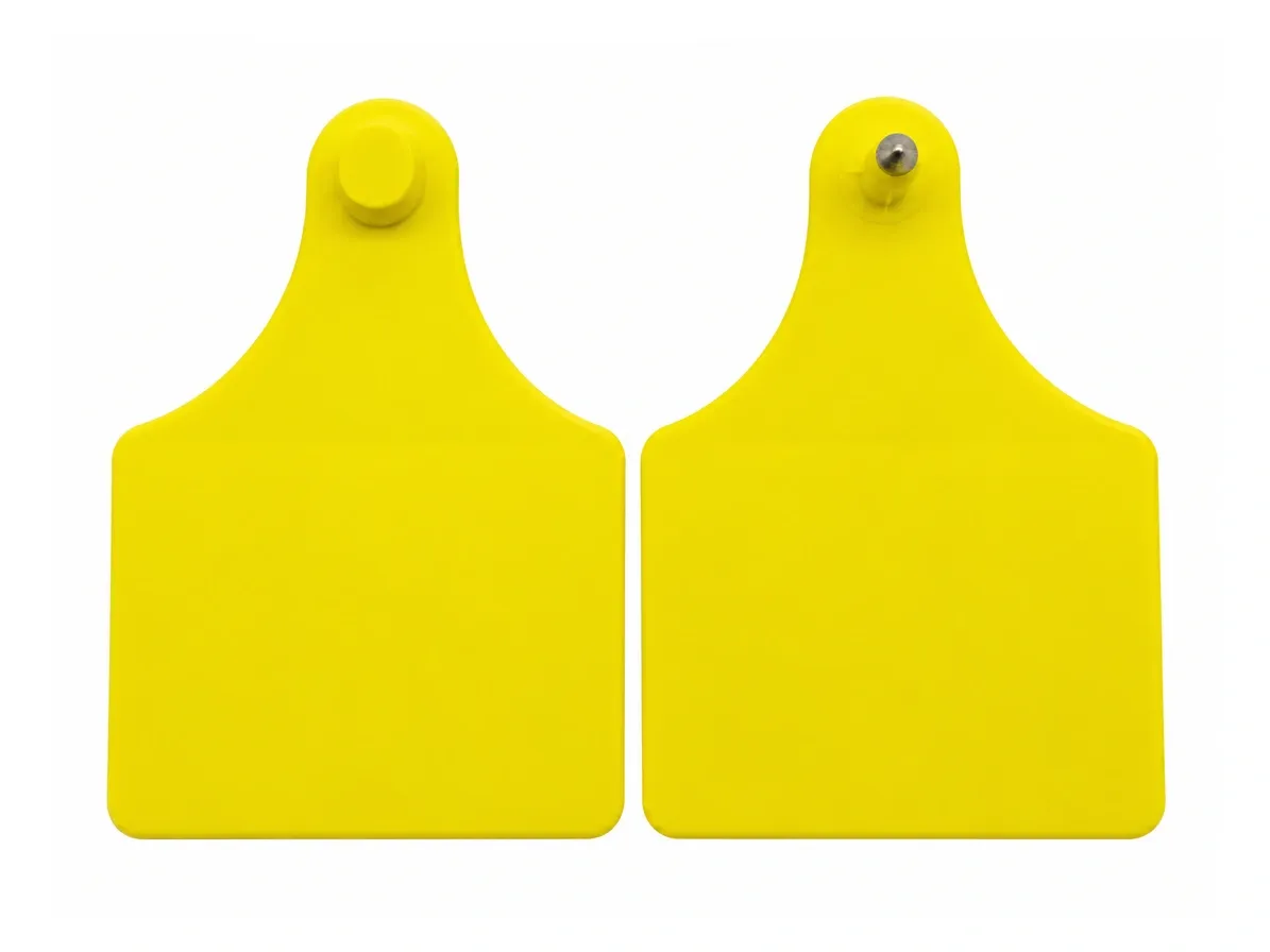 pom-tamper-resistant-big-ear-tag-100x75mm-1195x896-clean