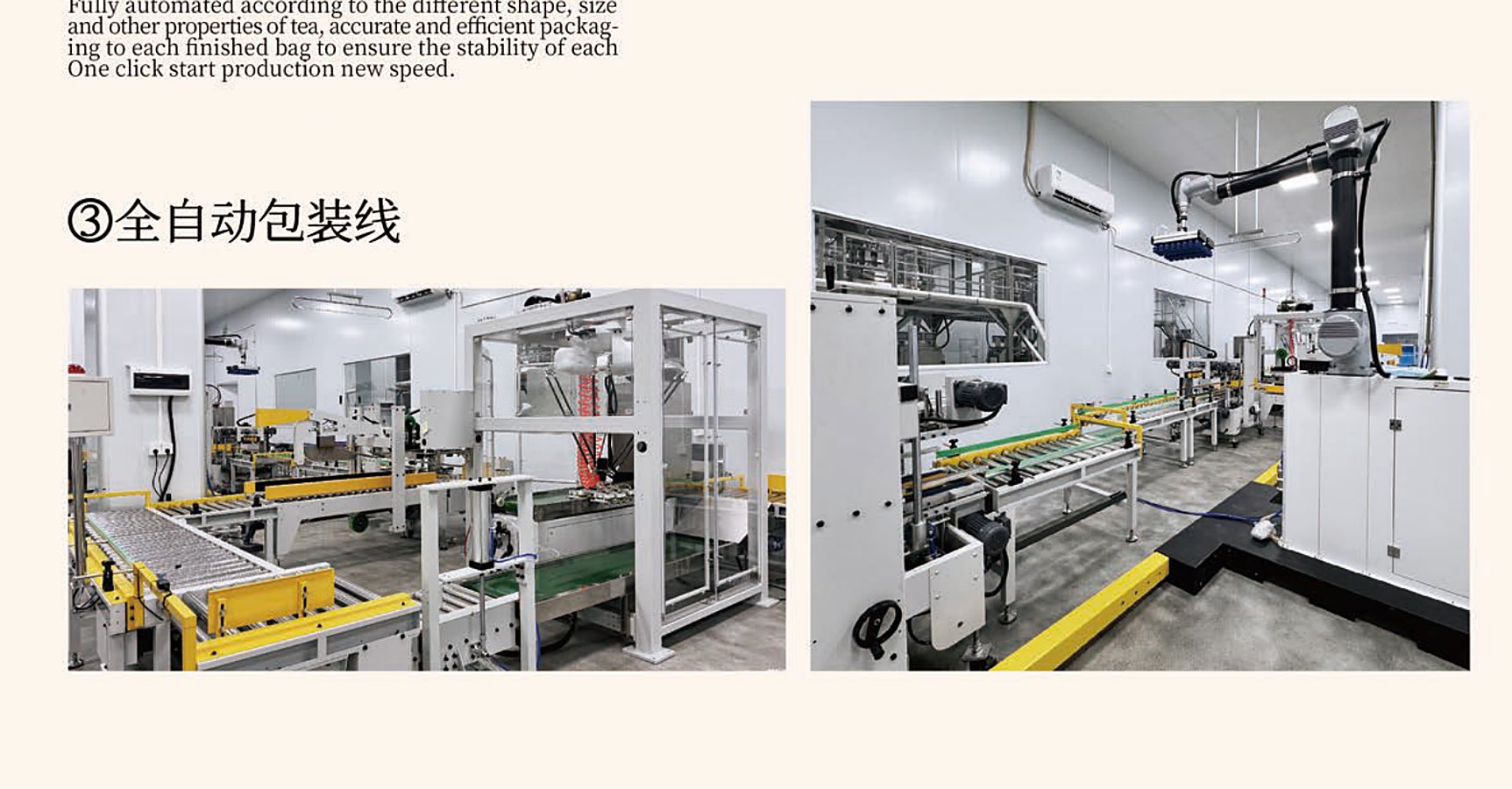 factory-line.jpg