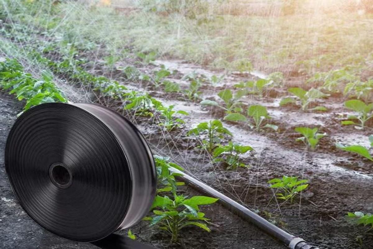 PE Micro-Spray Irrigation Hose – pe micro spray hose manufacture application scene