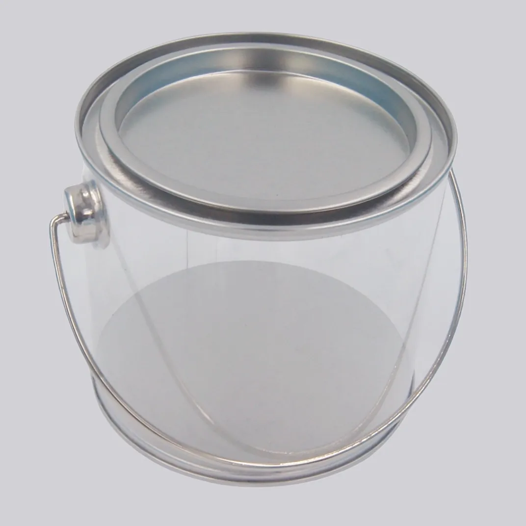 Mini Pet Tin Pail Buckets With Handle For Gifts Packaging
