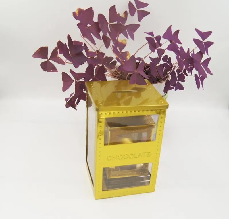 rectangular tin box with window on body2