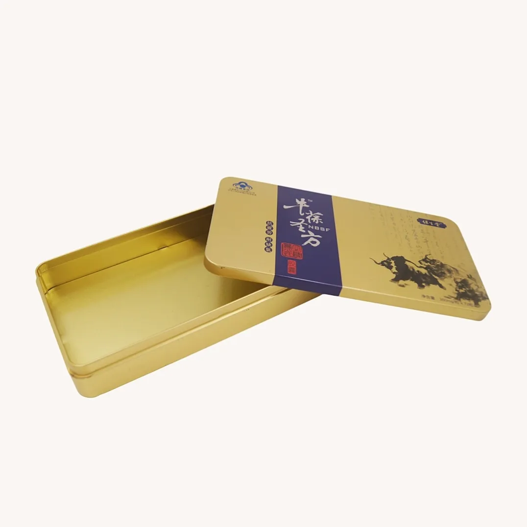Rectangular Metal Tin Boxes for Cookies and Biscuits Packaging1