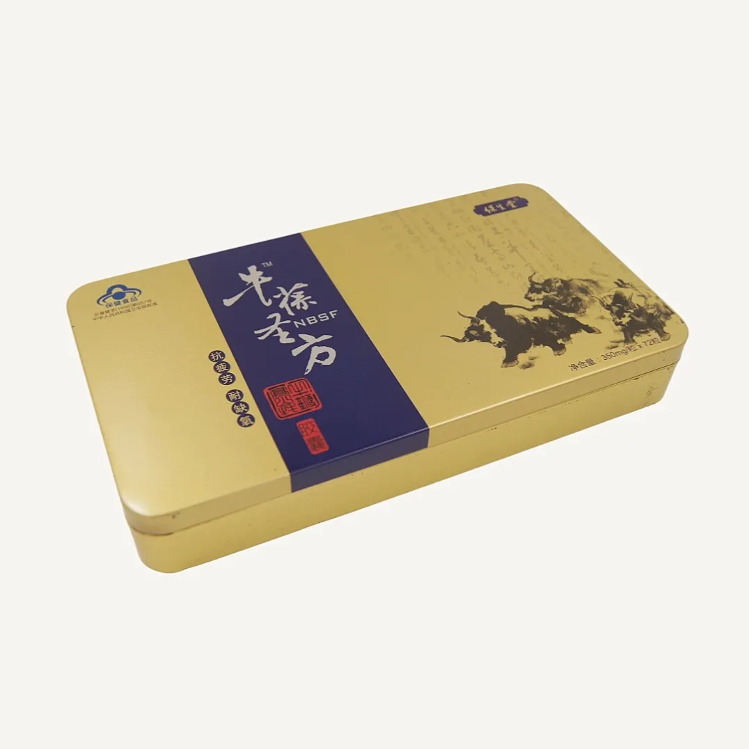 Rectangular Metal Tin Boxes for Cookies and Biscuits Packaging