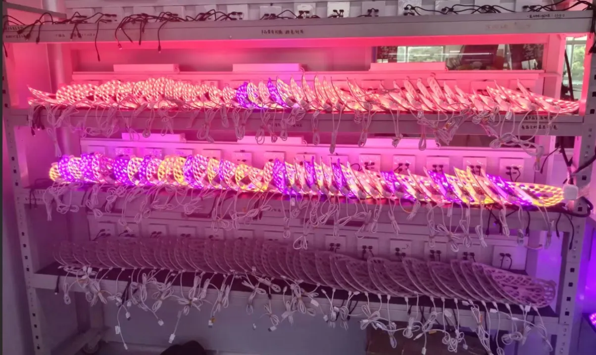 led-light-therapy-mask-aging-test-quality-inspection