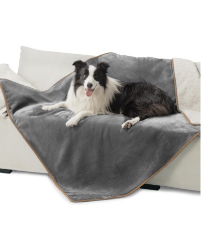 pet blanket