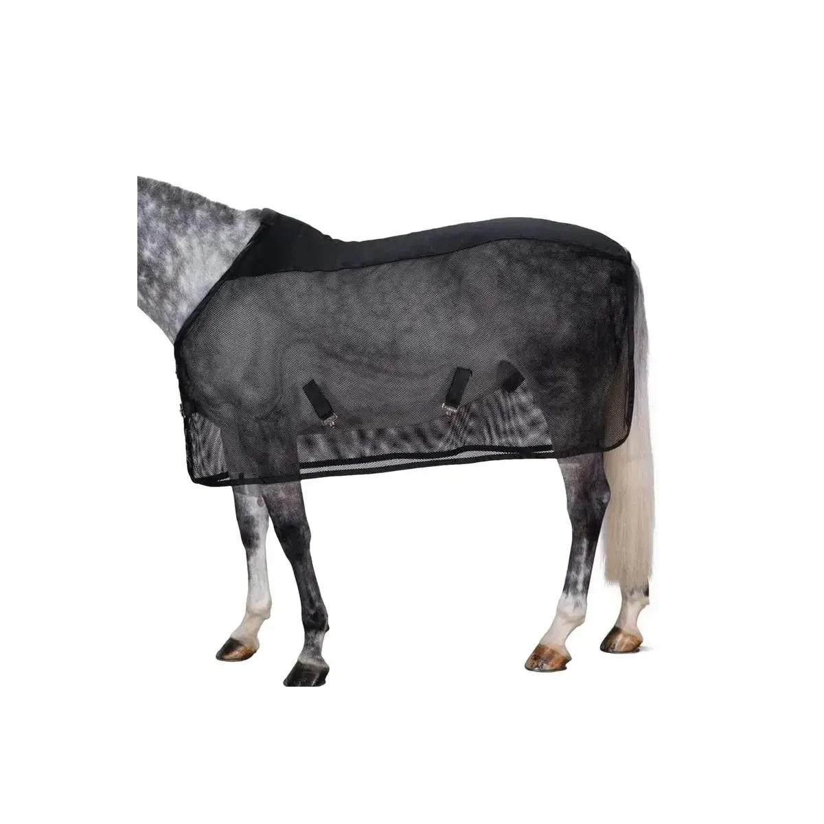 Horse wearing a black mesh fly sheet