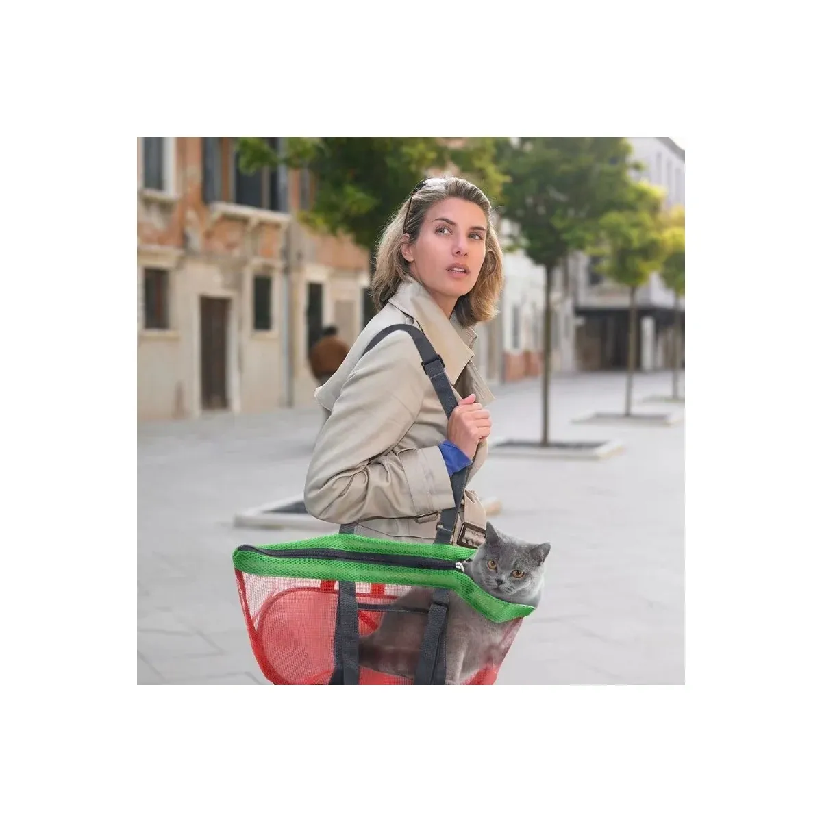 Pet panorama tote carried on the shoulder with a cat