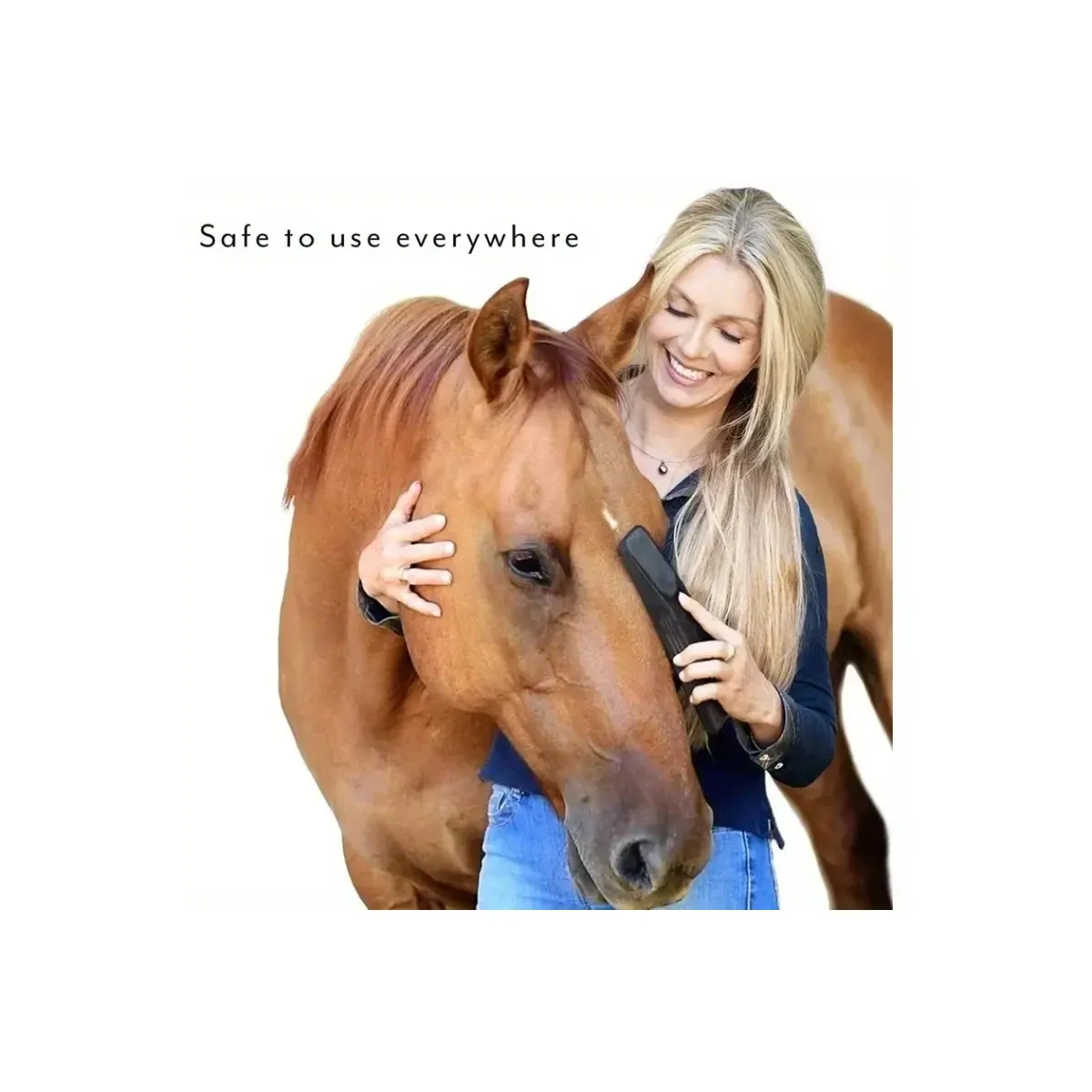 Horse grooming brush used on a horse