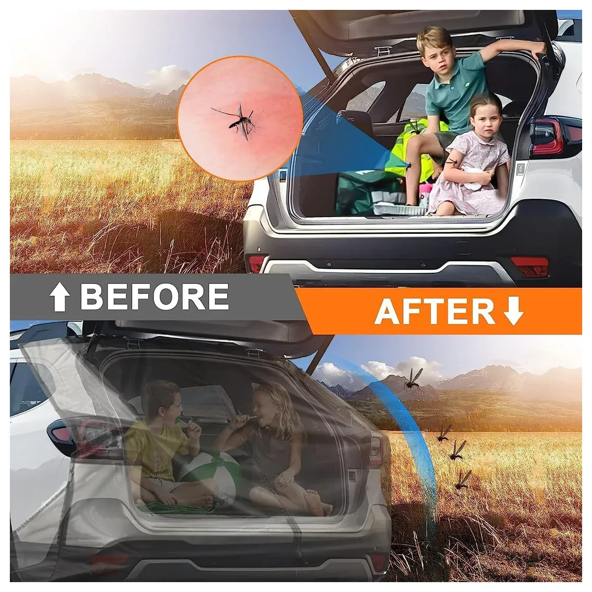 Car tailgate mesh screen before and after installation