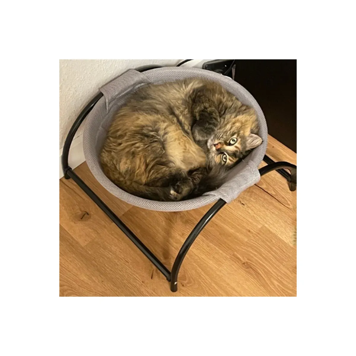 Cat sleeping in a grey hammock bed