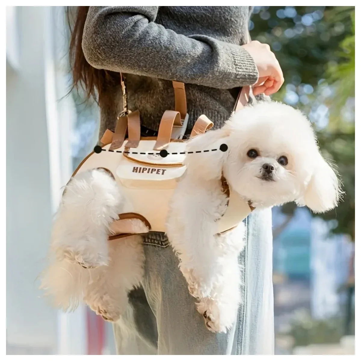 Pet sling carrier with a small dog and leash