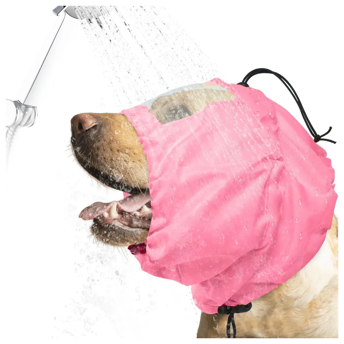 Dog ear bath cap during a bath