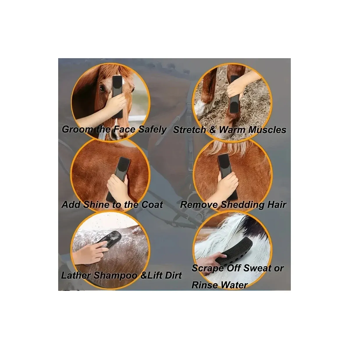 Six grooming uses for a horse brush