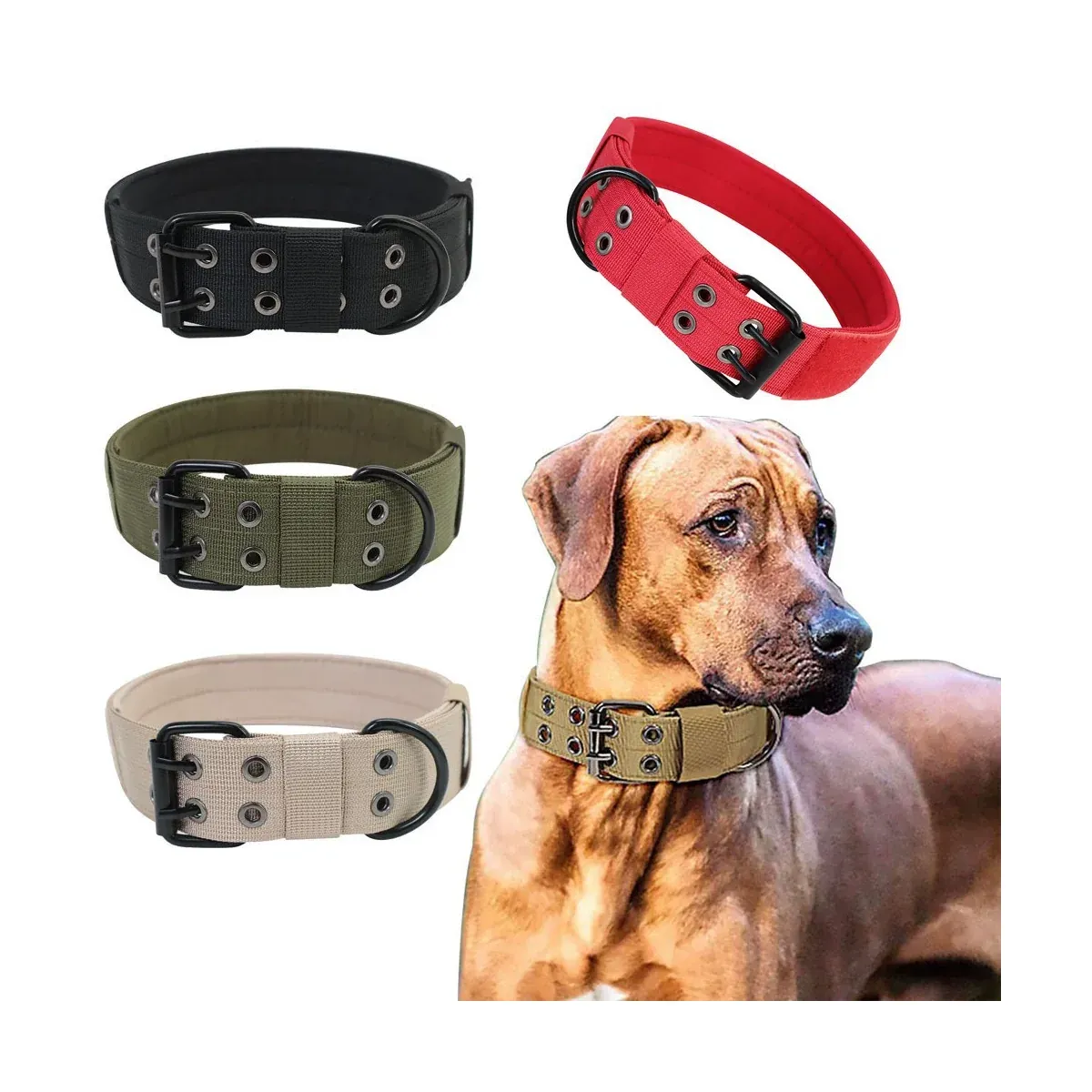Nylon Dog Collar — Adjustable Buckle Collar for Medium and Large Dogs - detail-1