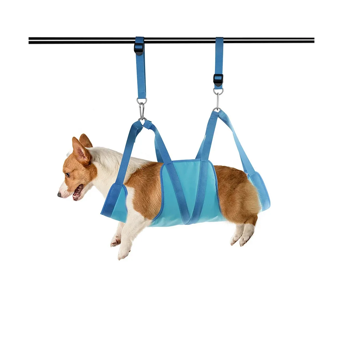 Dog in a grooming hammock during a nail trim