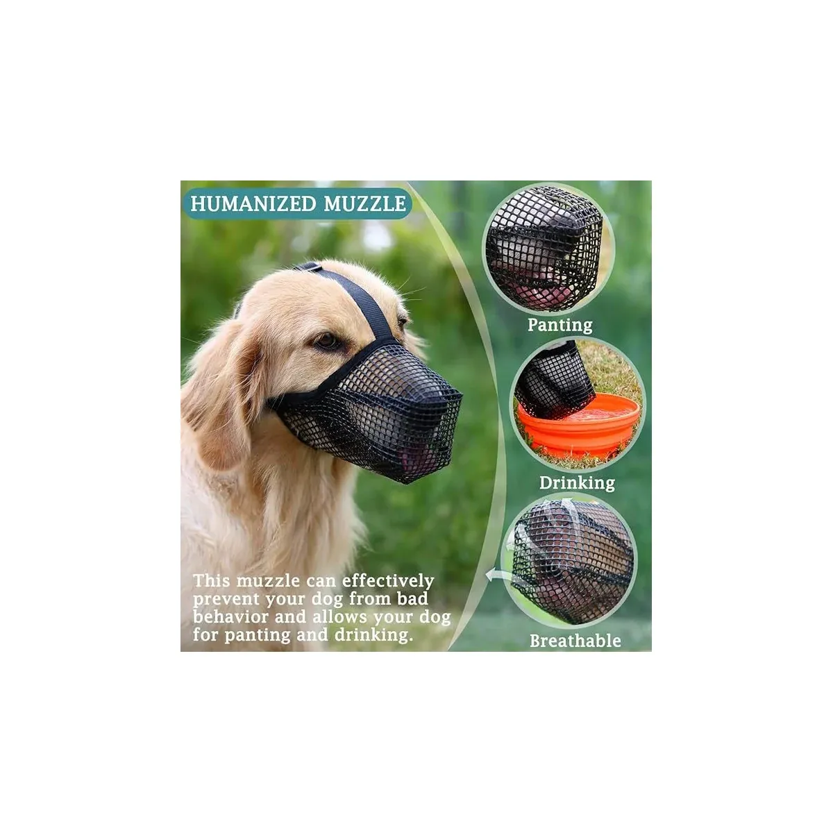 Black mesh dog muzzle on a golden retriever