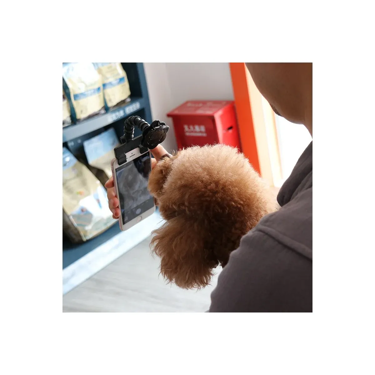 Pet selfie stick with a phone and dog