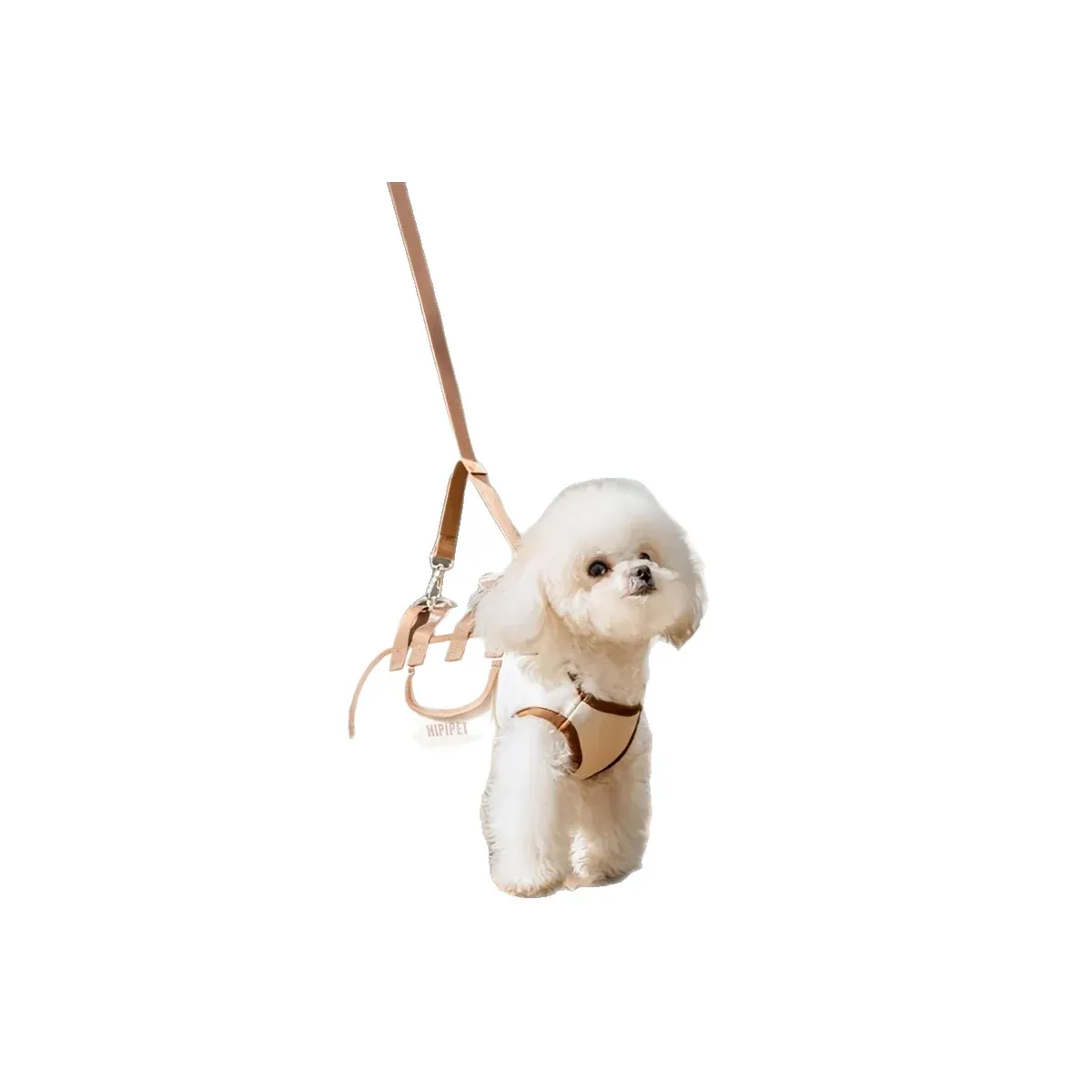Pet sling carrier with crossbody strap and short leash