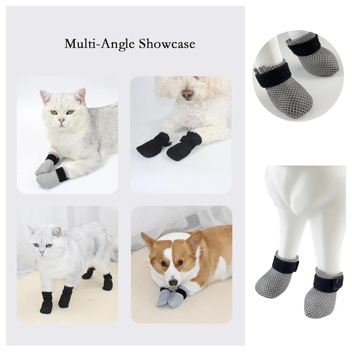 Dog grip socks on a cat and dog