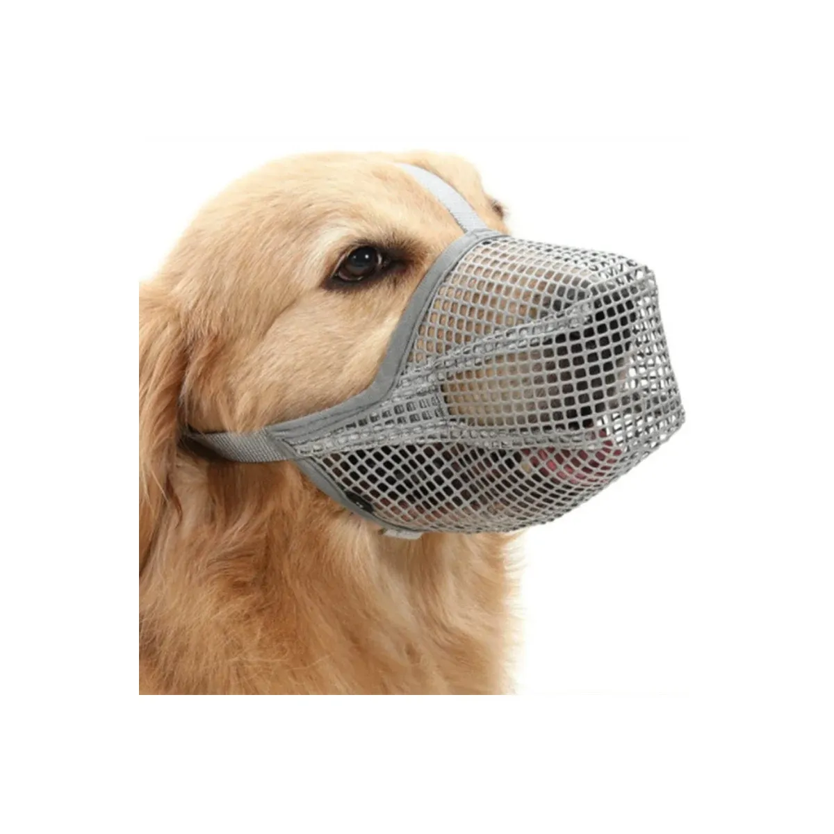 Grey mesh muzzle on a dog