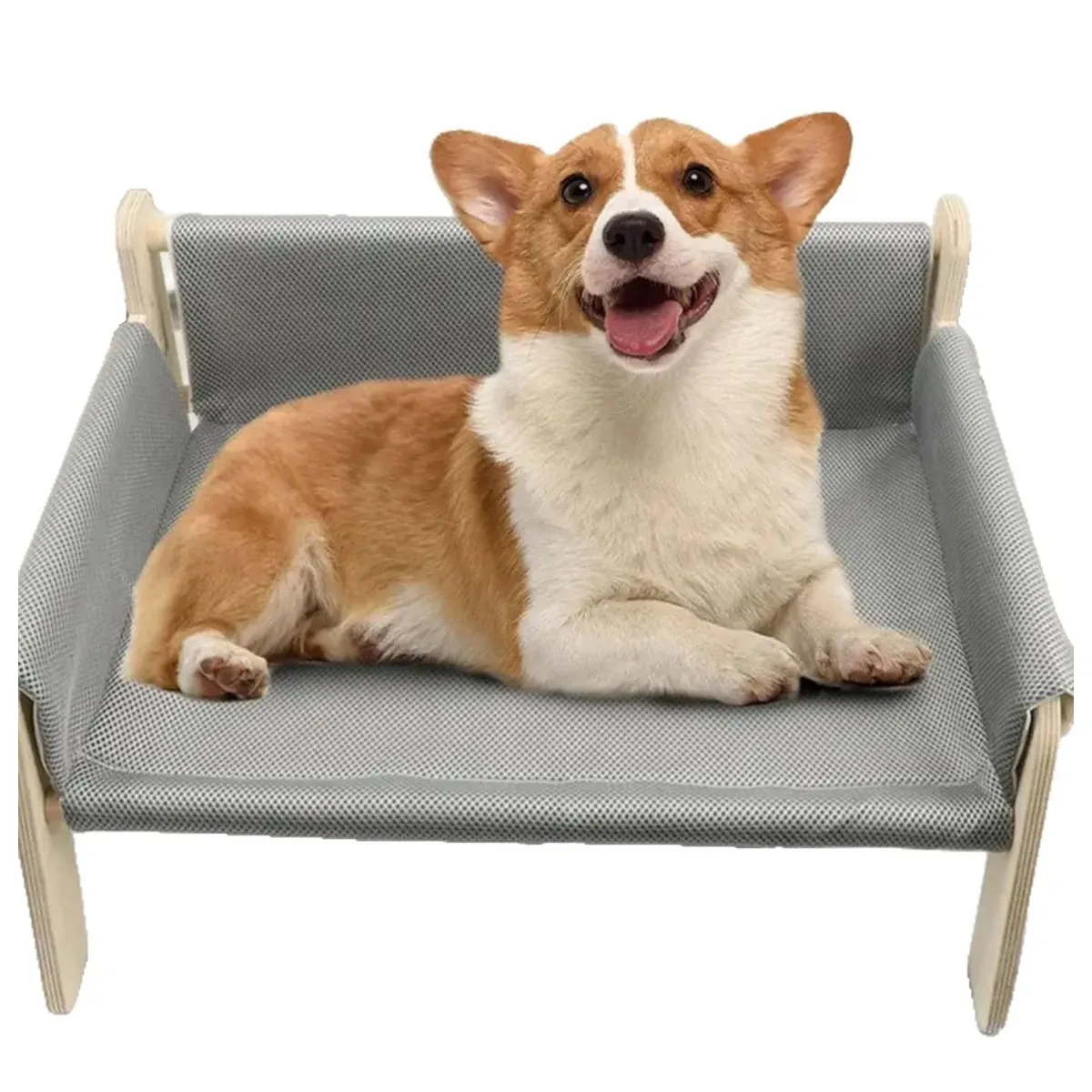 Corgi on a grey raised pet bed