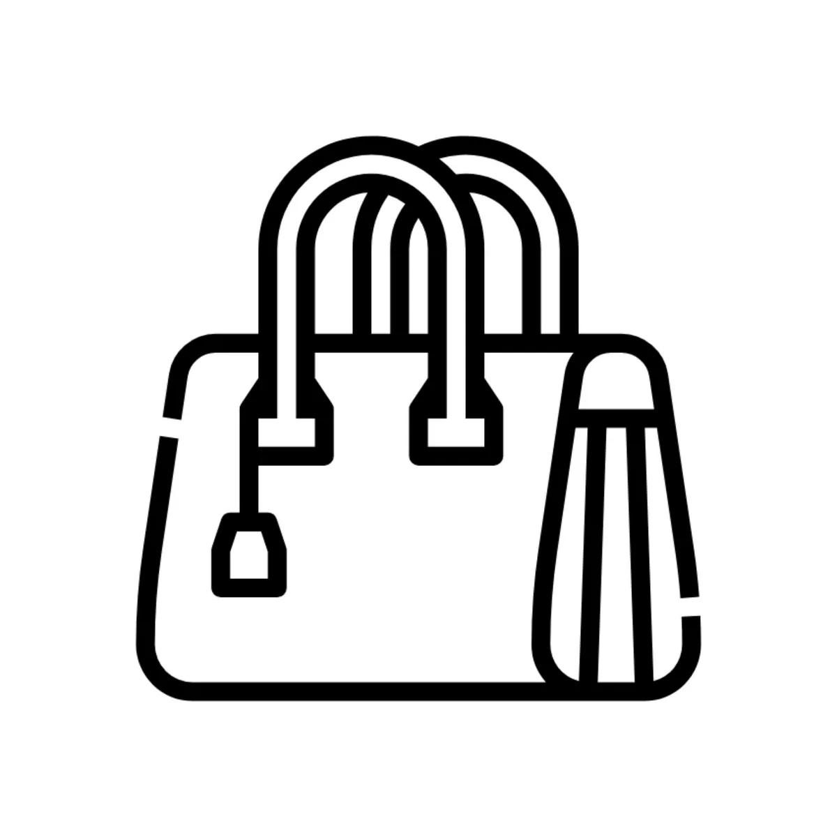 Bags & Cases category icon