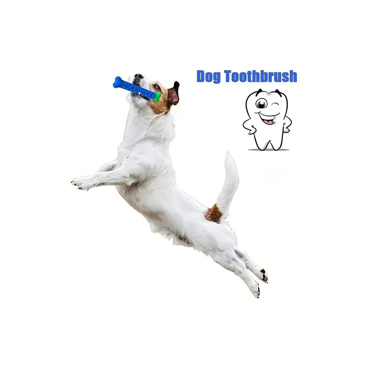 Dog jumping for a chew toothbrush