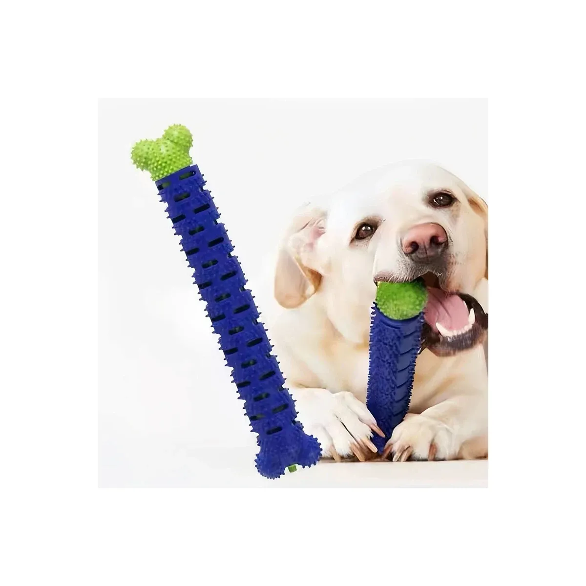 Blue bristled dog chew toothbrush
