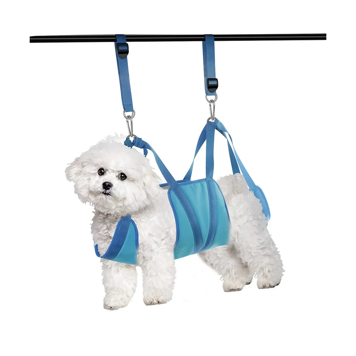 Small dog in a blue grooming hammock