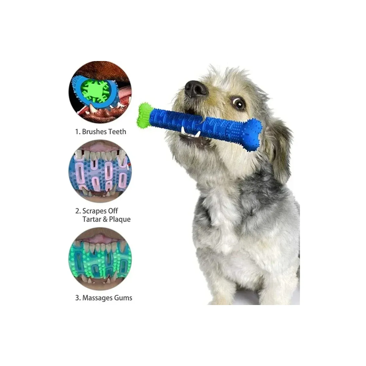 Dog chewing on a toothbrush stick