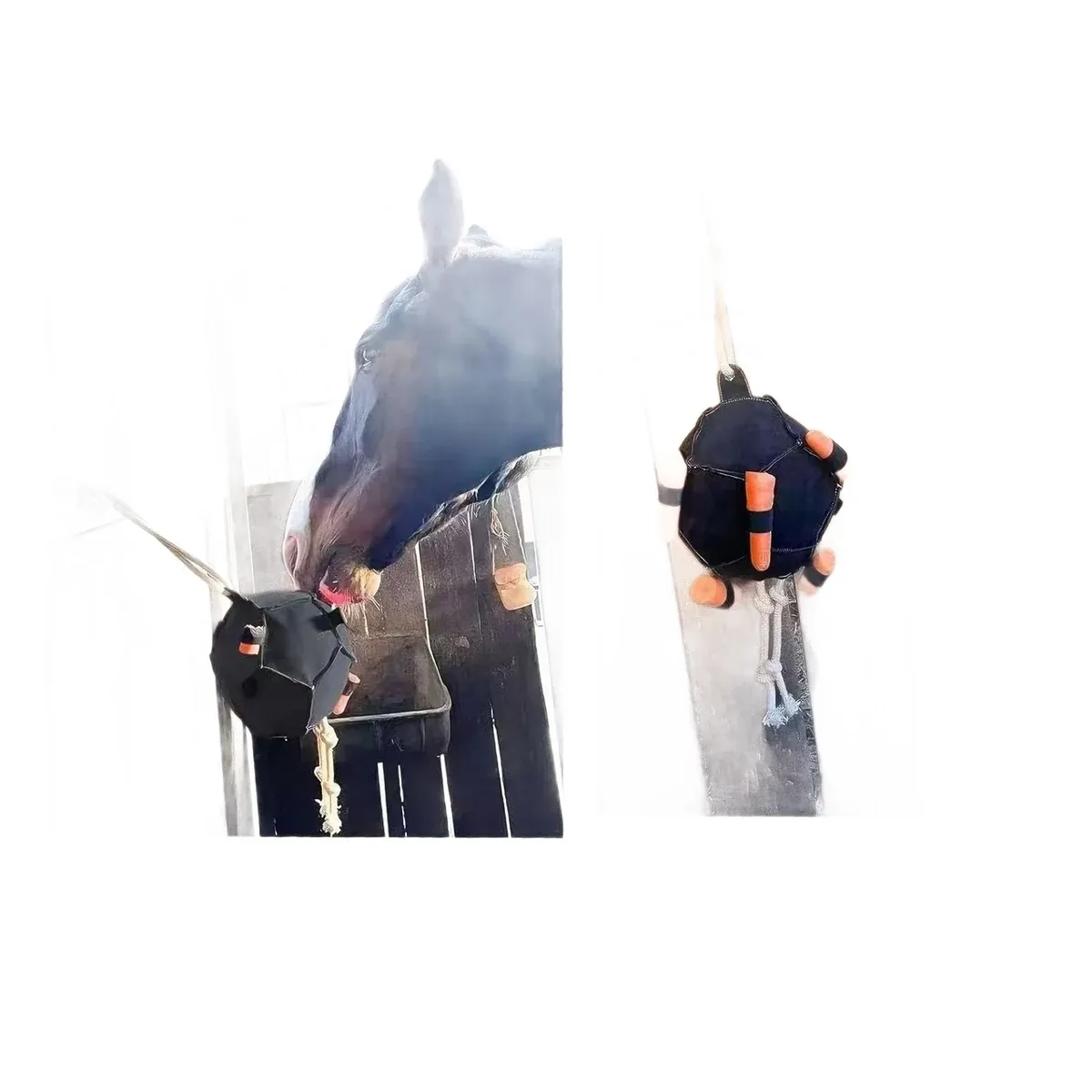 Treat ball hanging in a stable