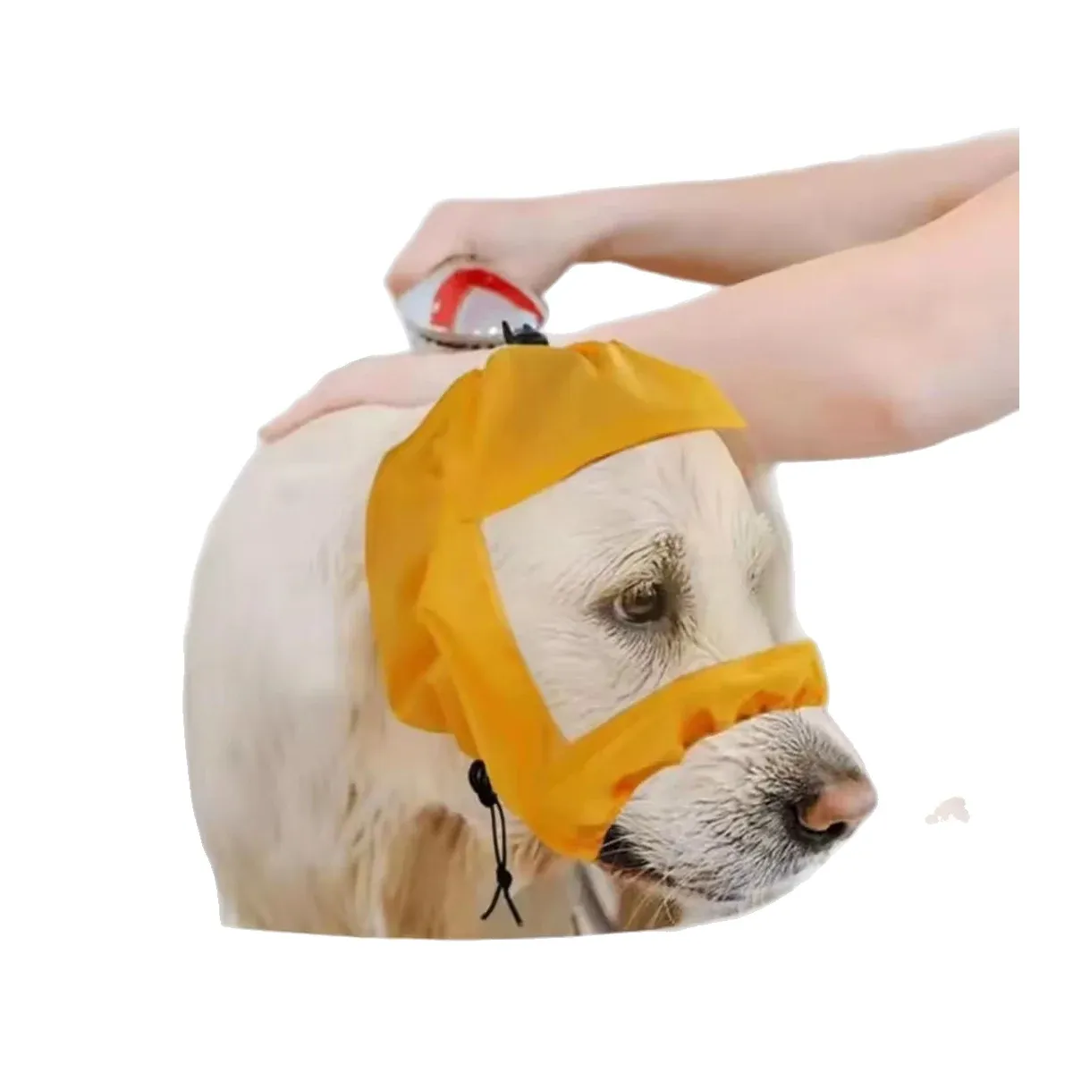 Yellow dog ear cap with open face