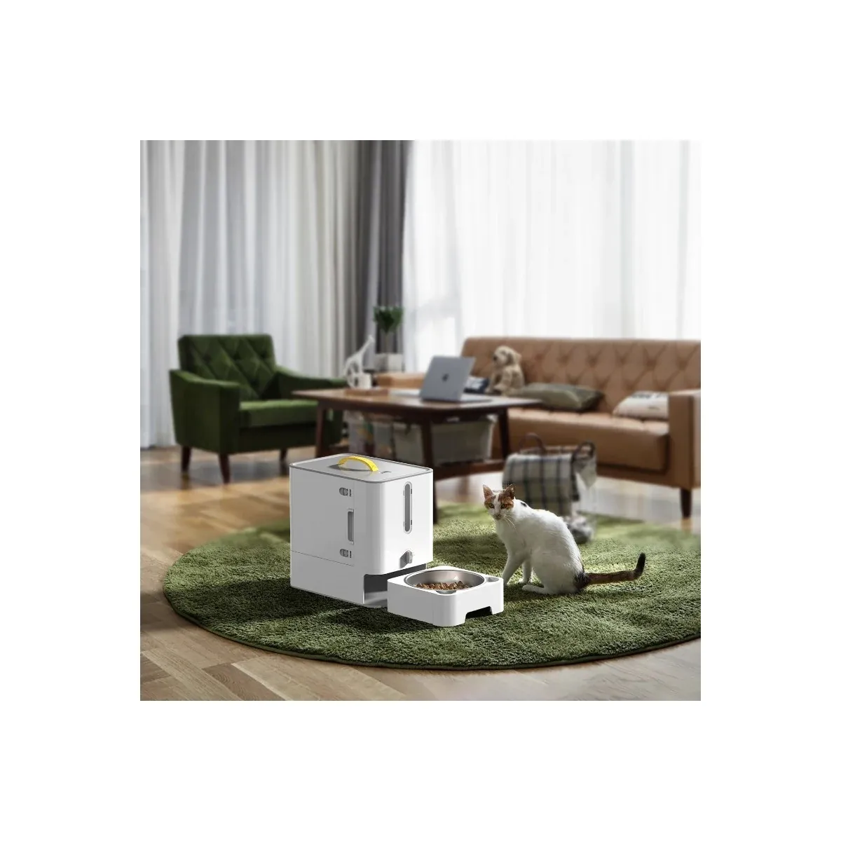 Cat and pet food container in a living room