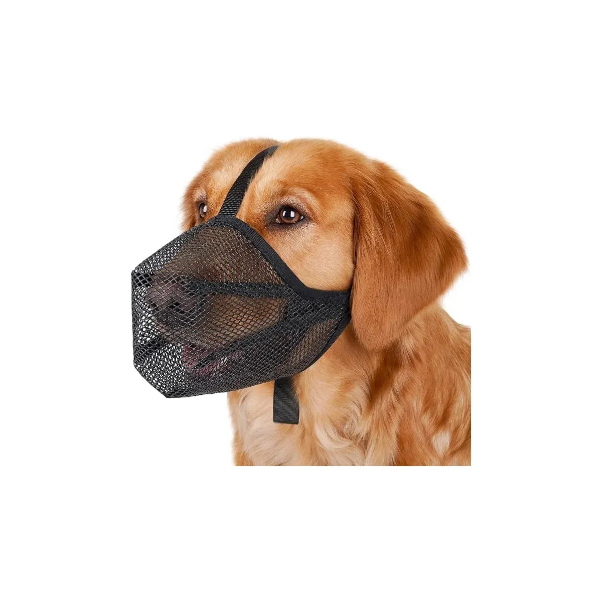 Mesh muzzle side view