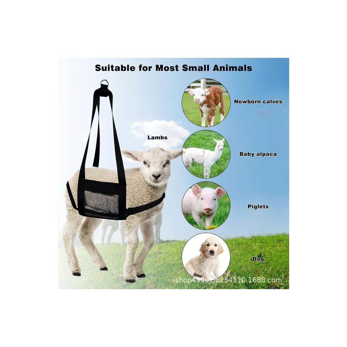 Weighing sling for lambs and small animals