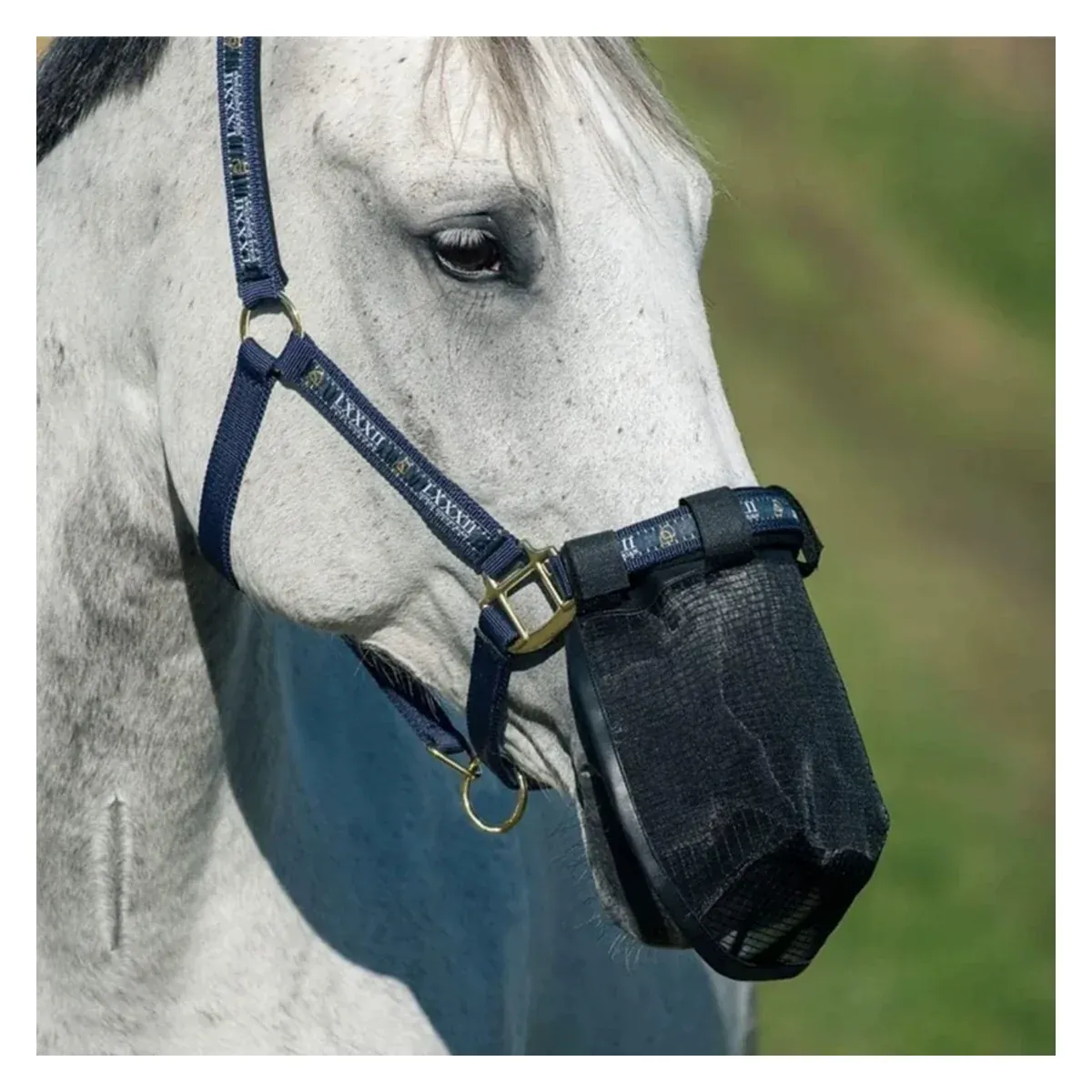 Horse Fly Mask — Mesh Nose and Muzzle Cover - main