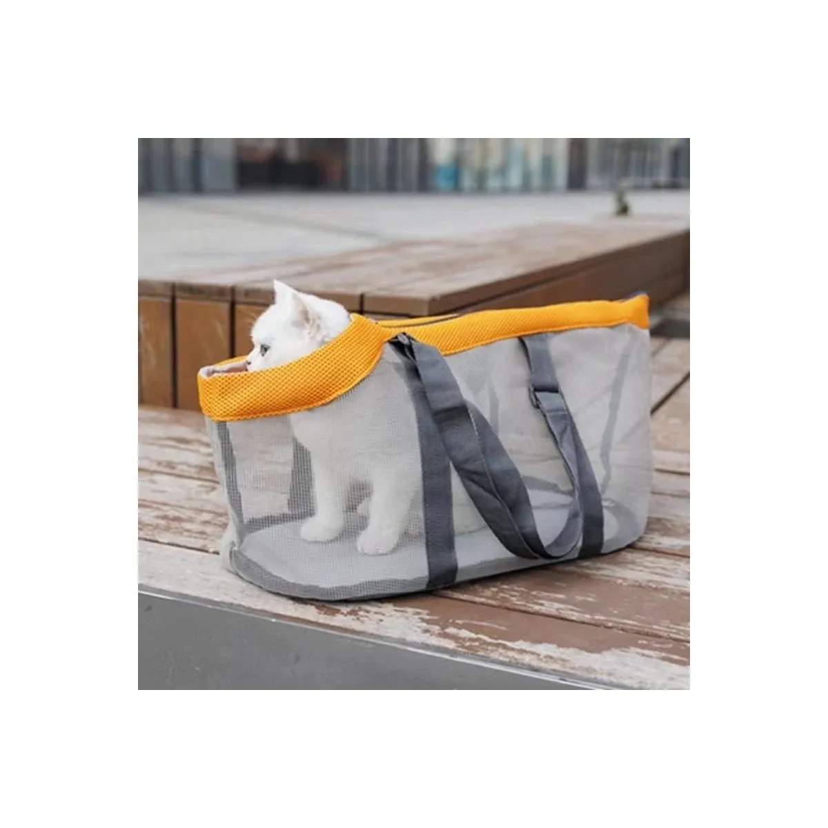 White cat in a mesh pet tote