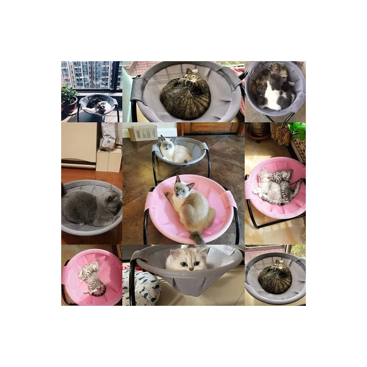 Cats using hammock beds in several colours