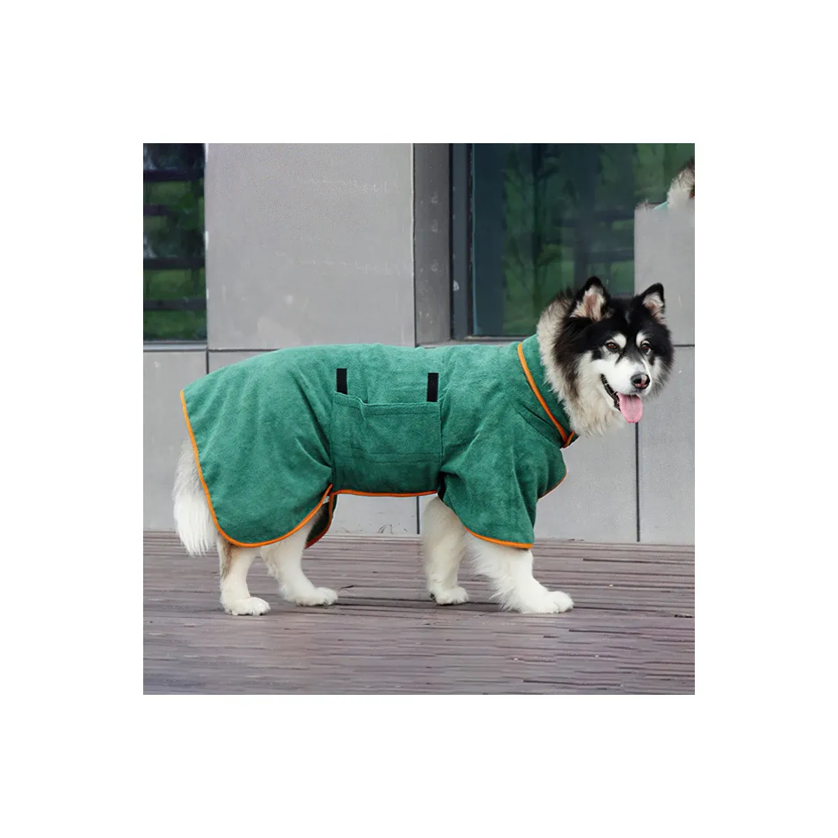 Dogs wearing green bathrobes